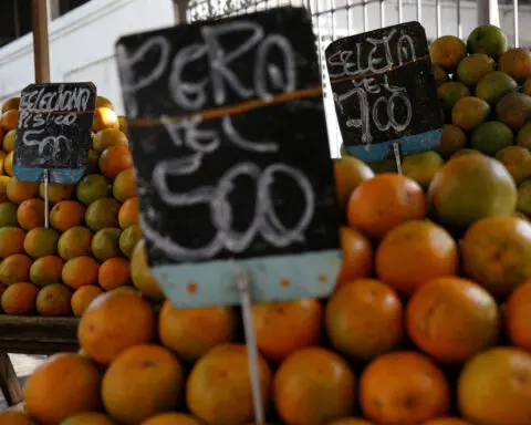Brazil's orange output to hit over 30-year low on disease, weather