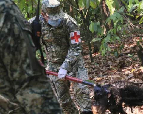 Heat-related monkey deaths are now reported in several Mexican states