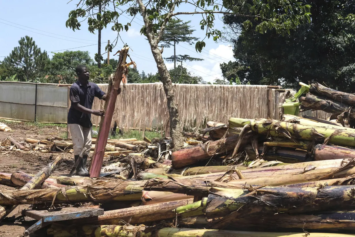 A Ugandan business turns banana fiber into sustainable handicrafts