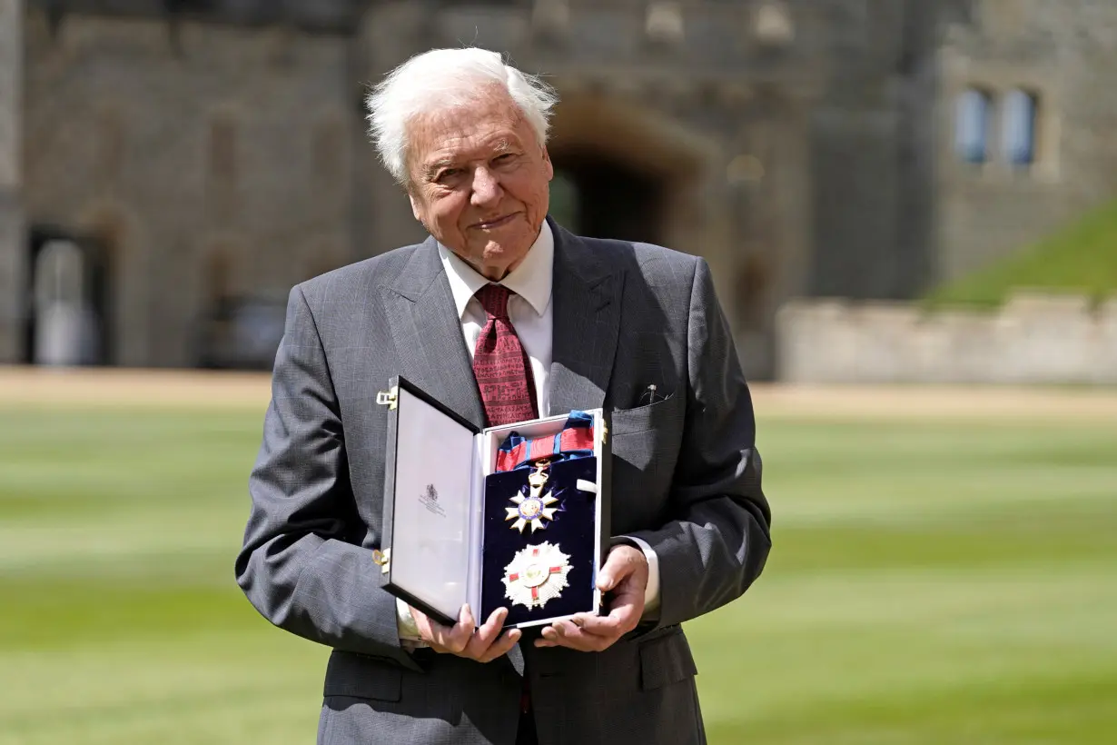 Investitures at Windsor Castle