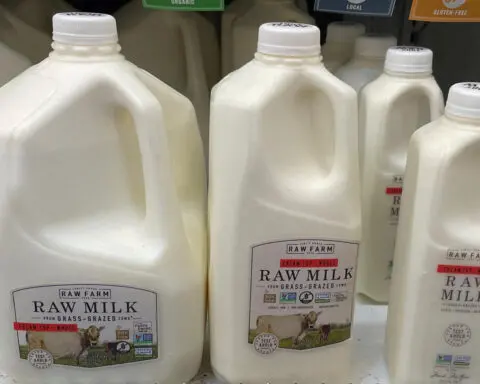 Raw milk containing bird flu virus infects mice in study