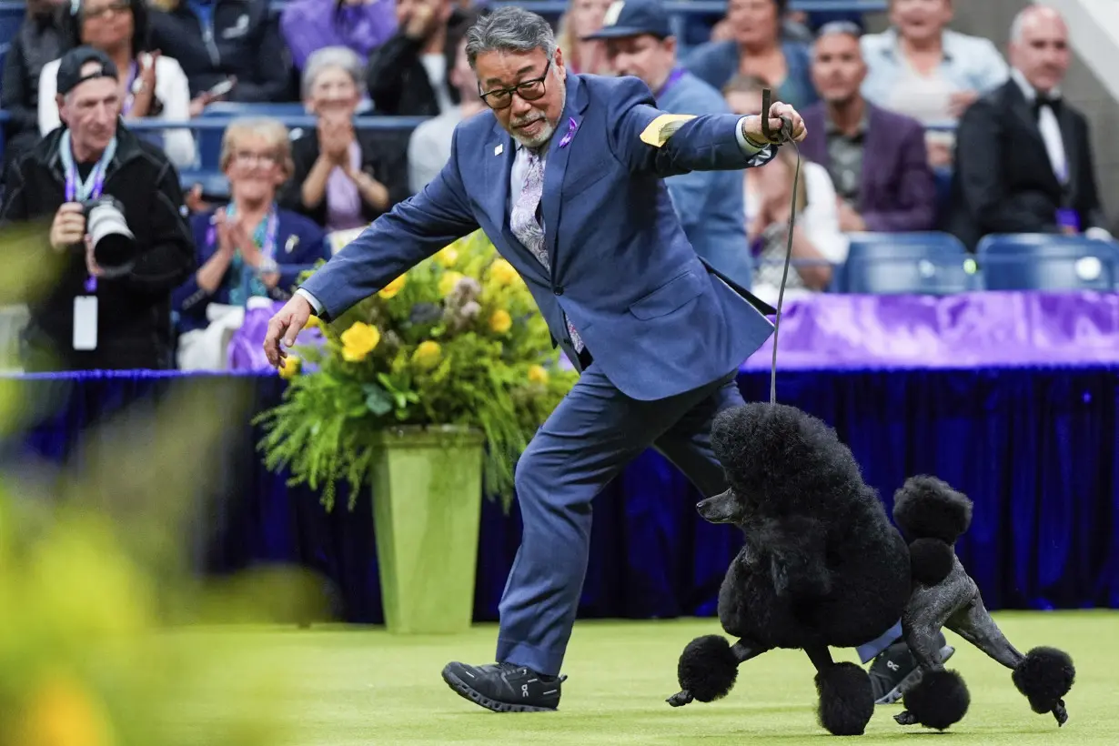 APTOPIX Westminster Dog Show