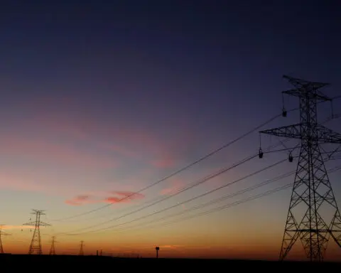 Texas daily power demand sets record for May consumption