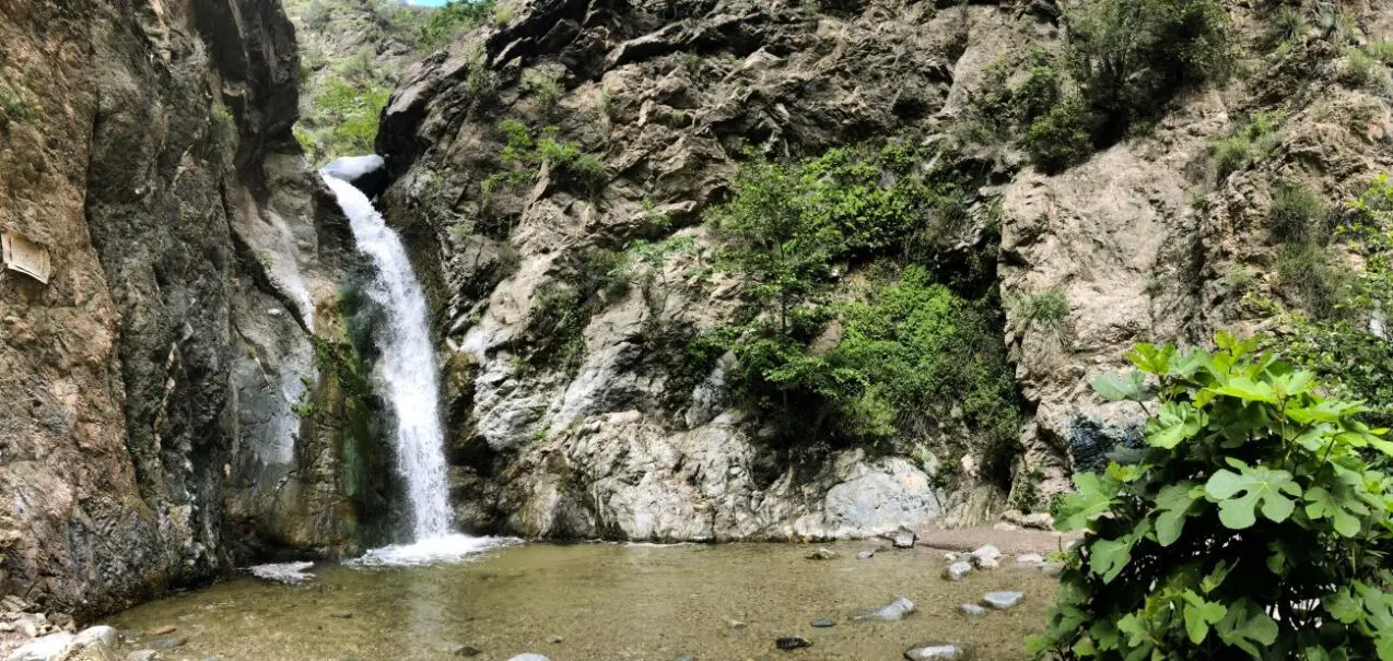 Uncover the hidden gems: A guide to LA's most unique swimming holes