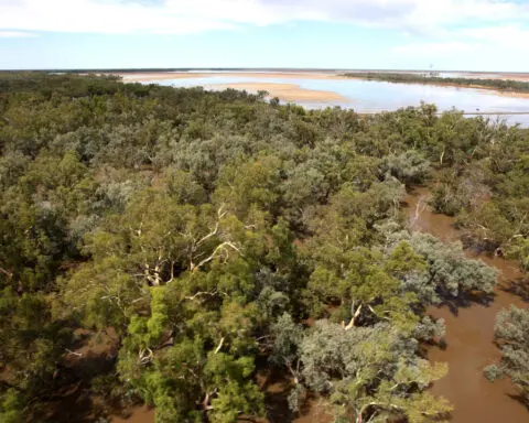 Australian weather bureau sees 50% chance of La Nina this year