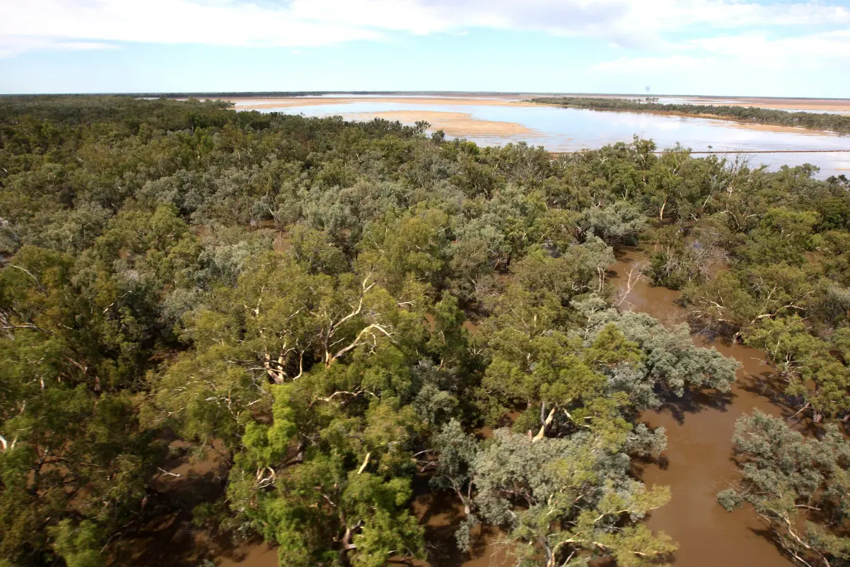 An aerial view of flooded land near the border with Queensland, and north of the town of Goodooga, New South Wales