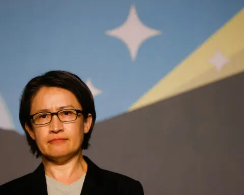 Taiwan must invest in building its own 'strengths', vice president-elect says