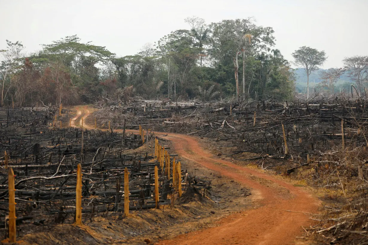 Operations to destroy illegal roads in Colombia's Amazon hit standstill, sources say