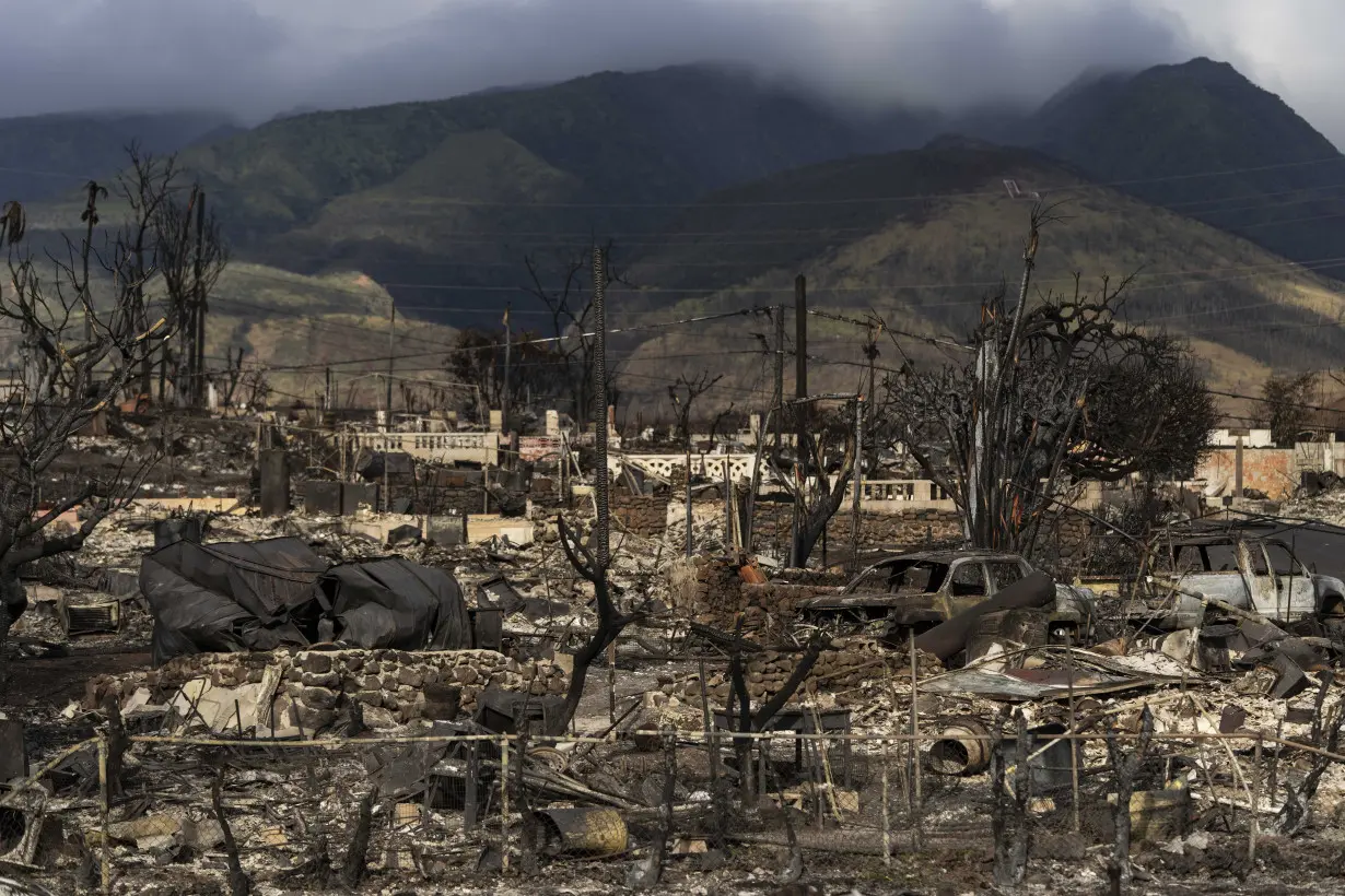 Hawaii Fires Waste