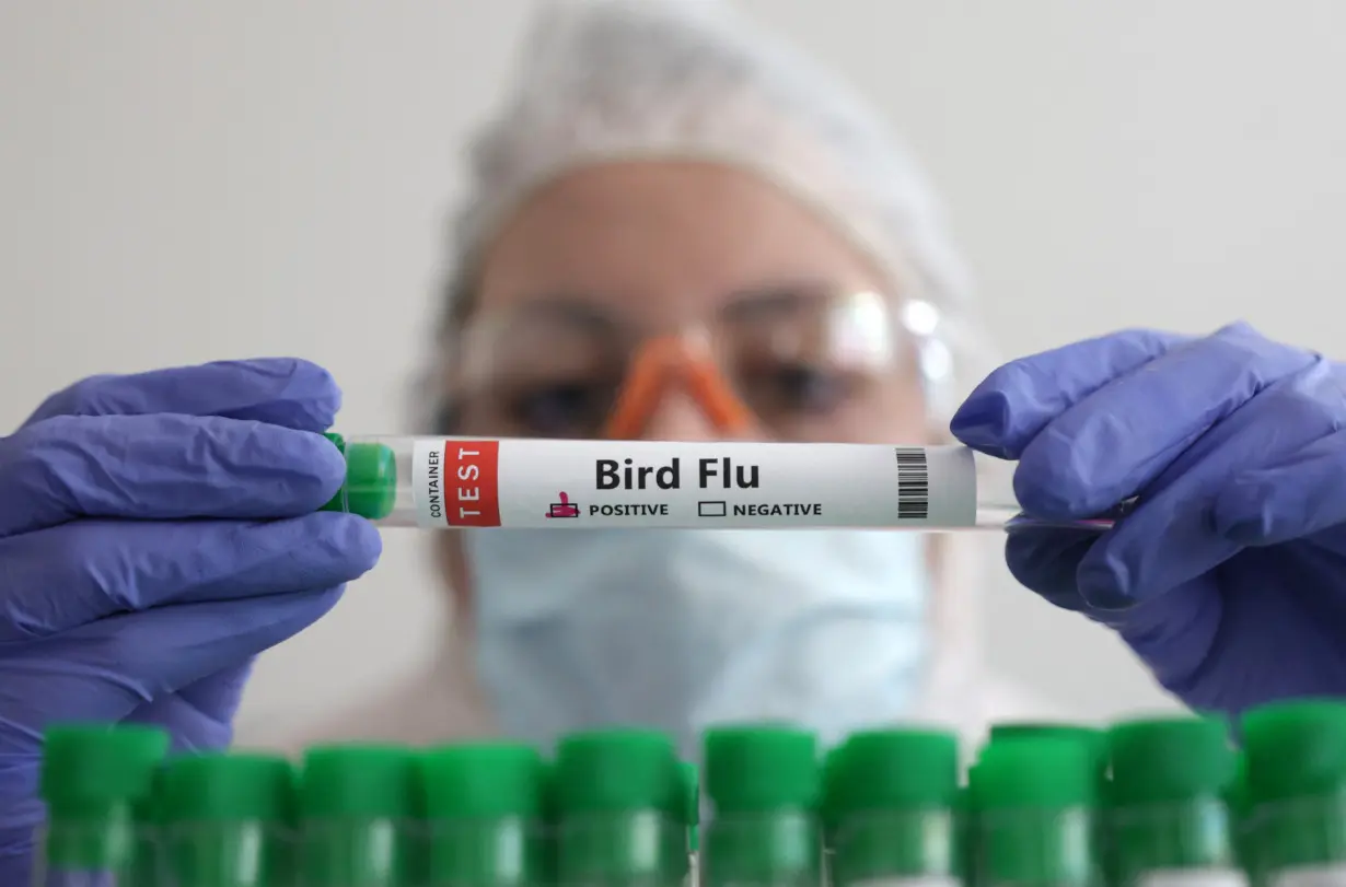 LA Post: Bird flu testing shows more dairy products are safe, US FDA says
