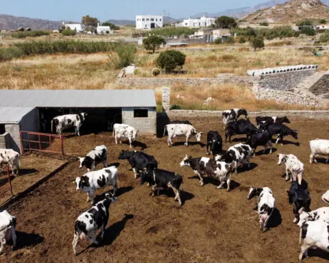 Greece to bring in Egyptian farm workers amid labour shortage