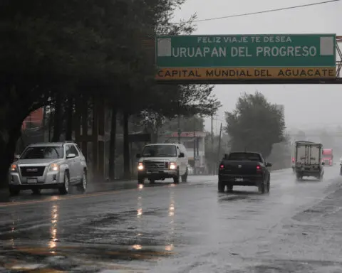 US restarting avocado, mango checks in Mexico after week-long pause