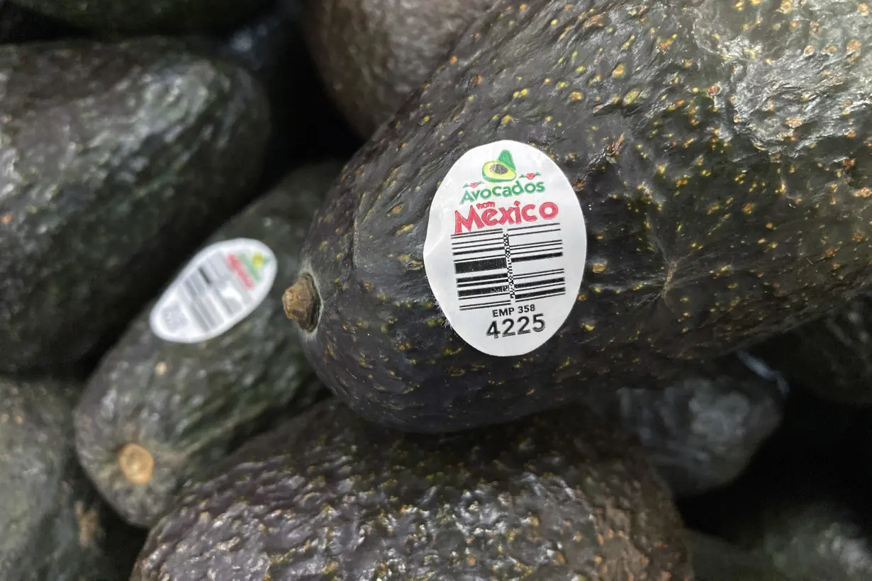 Mexican Avocados