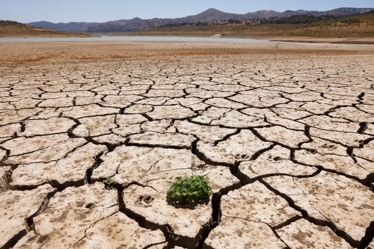 FILE PHOTO: Drought in Spain