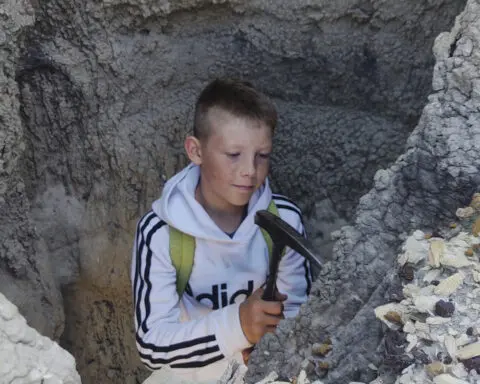 Three boys found a T. rex fossil in North Dakota. Now a Denver museum works to fully reveal it