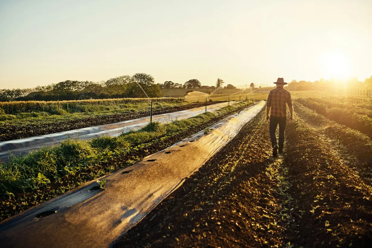 Food has a climate problem: Nitrous oxide emissions are accelerating with growing demand for fertilizer and meat – but there are solutions