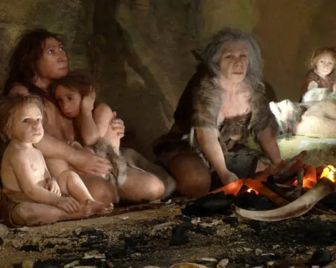 Fossil of child with Down syndrome hints at Neanderthal compassion