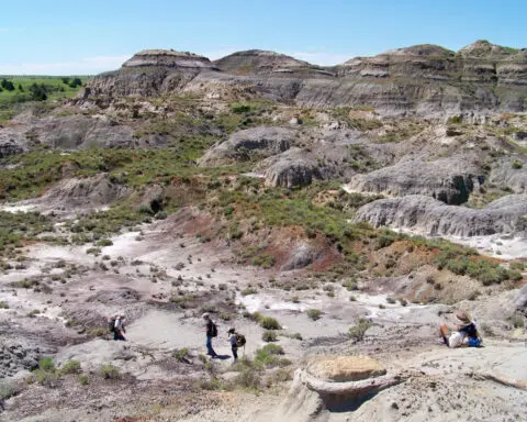 Rare fossil of adolescent Tyrannosaurus - 'Teen Rex'- found by US kids