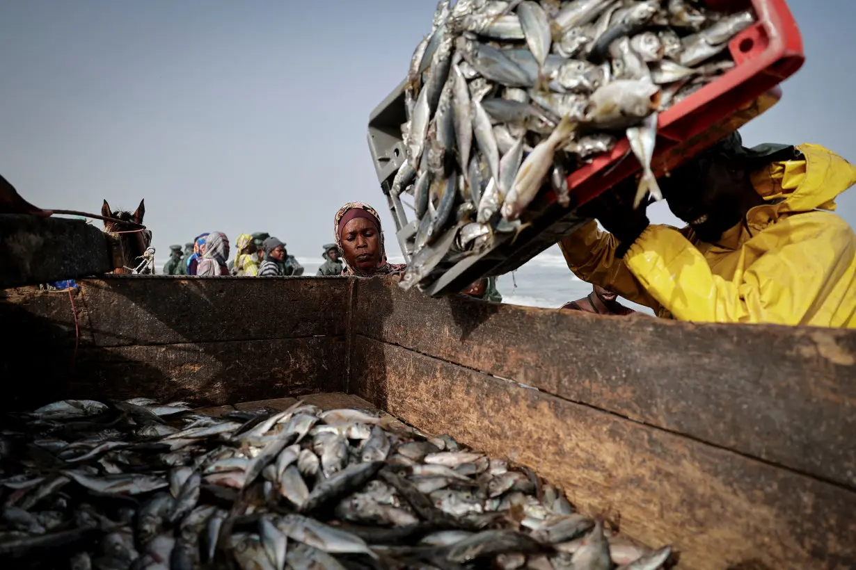 FILE PHOTO: A vendor waits to buy fresh fish in Fass Boye, Senegal