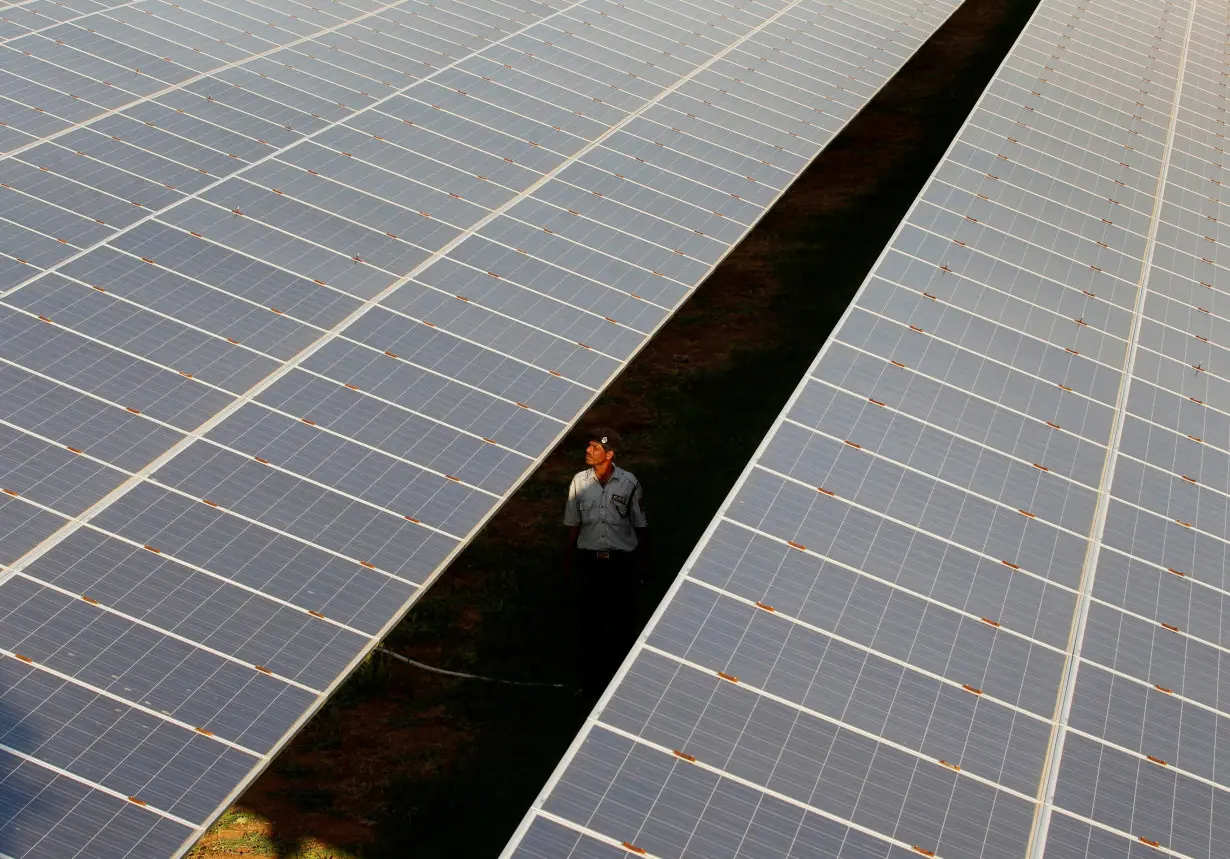 FILE PHOTO: A private security guard walks between rows of photovoltaic solar panels inside a solar power plant at Raisan