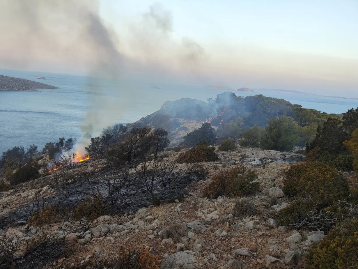 A general view of an area damaged by a forest fire on the island of Hydra