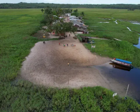 Strike at Brazil environmental agency impacts Petrobras' Equatorial Margin drilling request