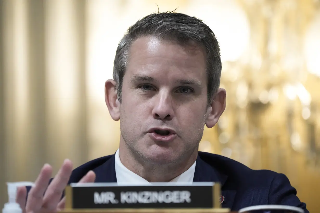 Election 2024 Biden Kinzinger