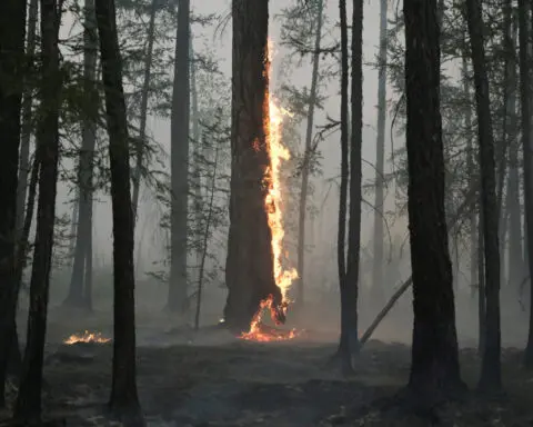 Arctic wildfire emissions rise as blazes sweep Russia's North