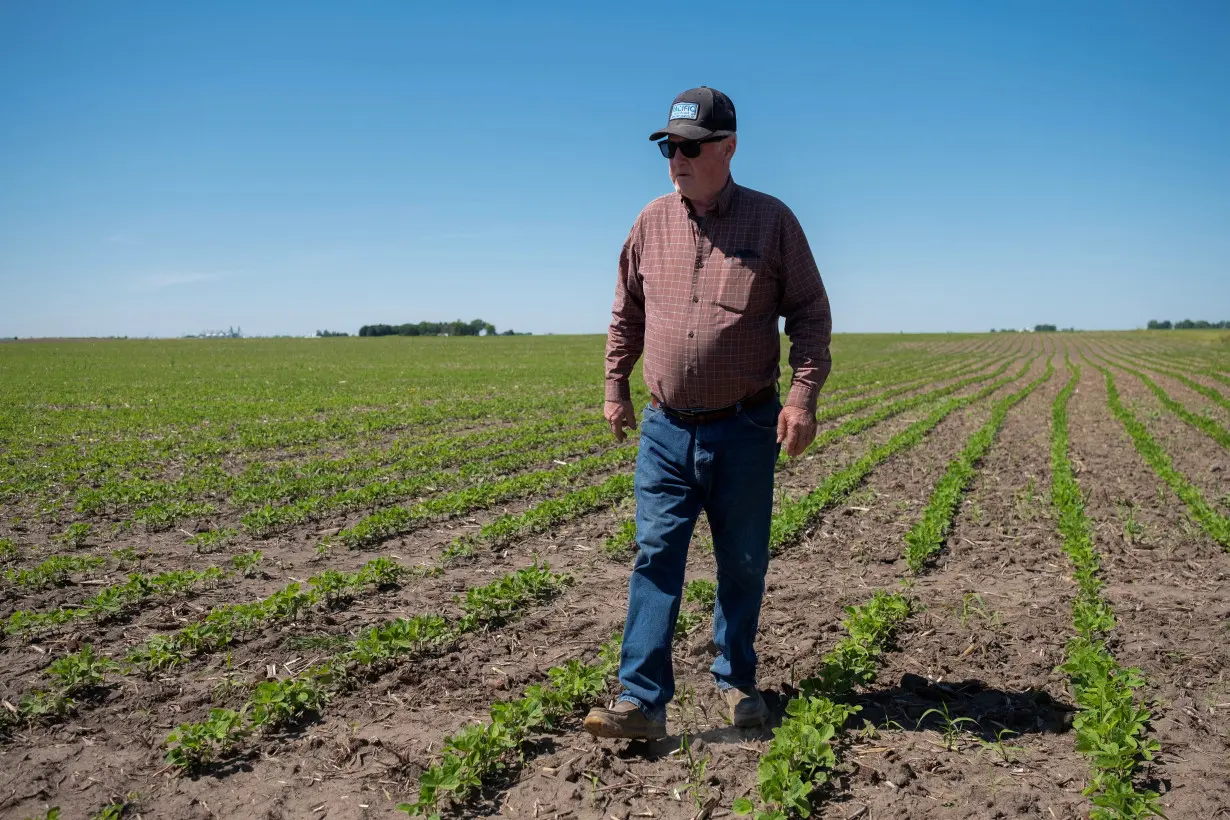 Facing low prices for all crops, U.S. farmers eye soy planting expansion