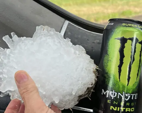 A hail stone the size of a pineapple was found in Texas. It likely sets a state record