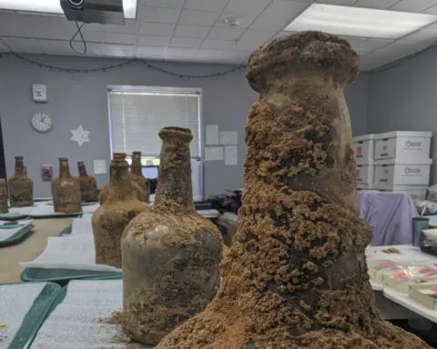 No lie: Perfectly preserved centuries-old cherries unearthed at George Washington's Mount Vernon