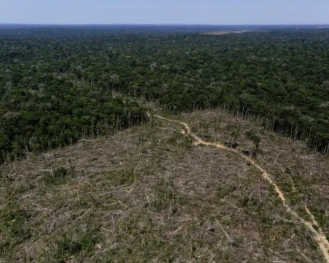 United States asks EU to delay deforestation law, letter shows