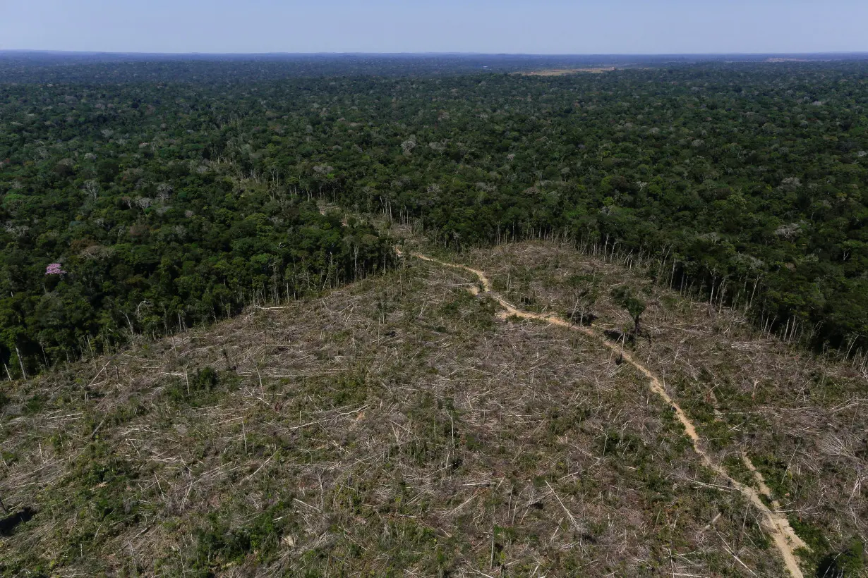 FILE PHOTO: Deforested area in the Amazon