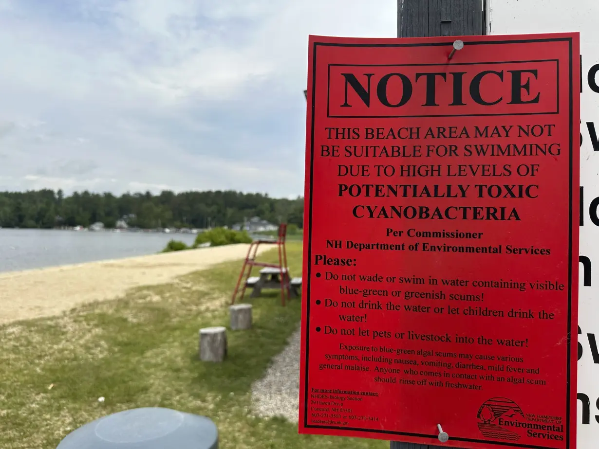 Alga Bloom Lake Winnipesaukee