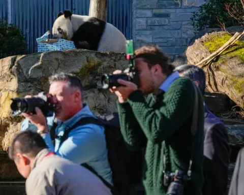 China Premier Li starts Australia trip with Adelaide panda announcement, winery visit