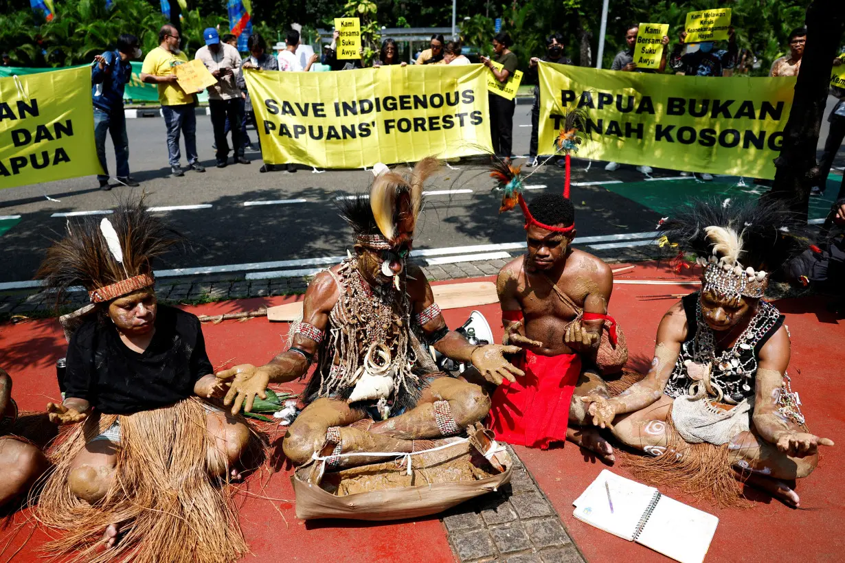 FILE PHOTO: Protest against deforestation in indigenous Papuans' land, outside the country's Supreme Court in Jakarta