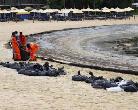 Singapore intensifies oil spill clean up after it spreads along coast