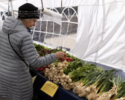 US small business sentiment up in May, but looming election clouds outlook