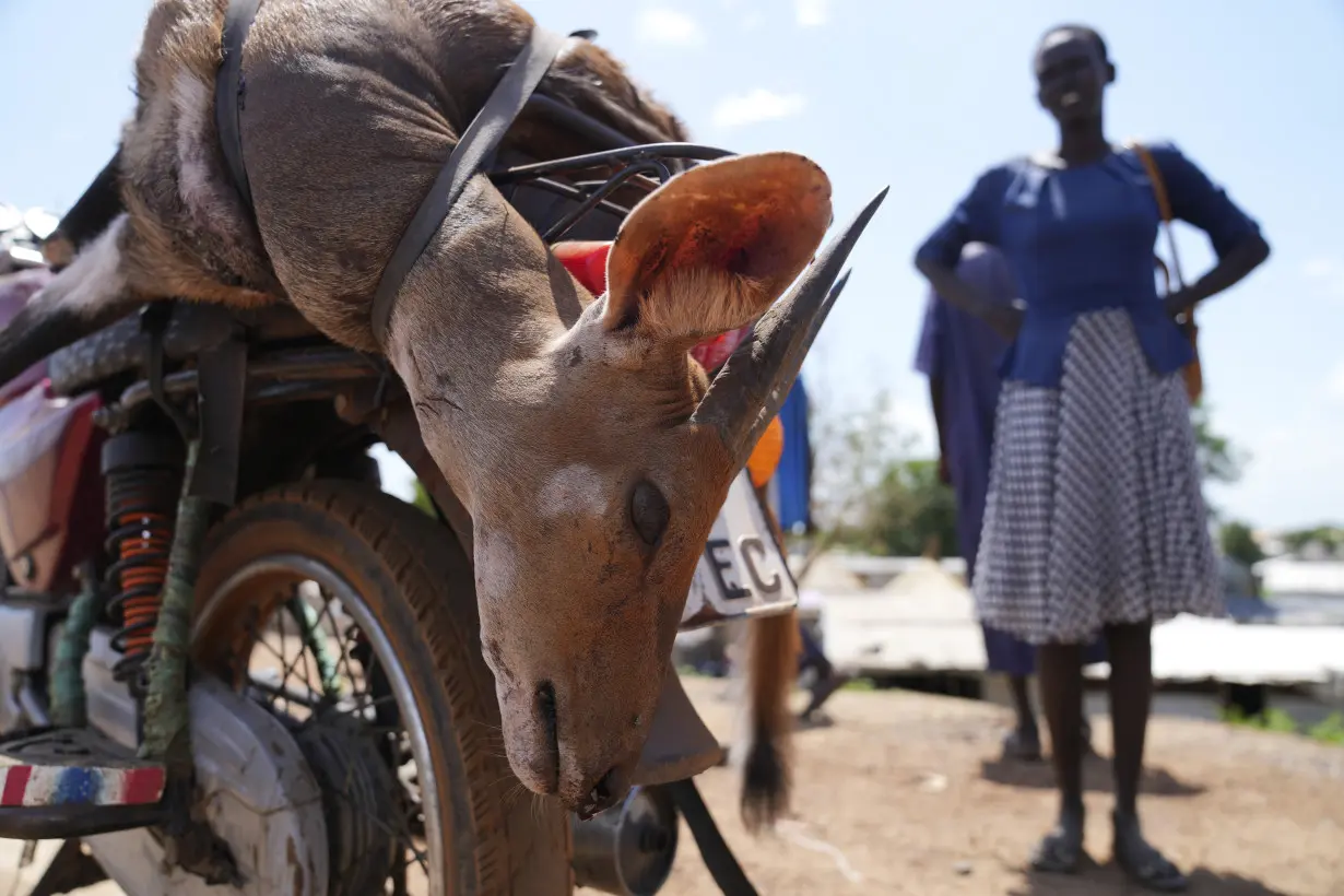 South Sudan Animal Migration