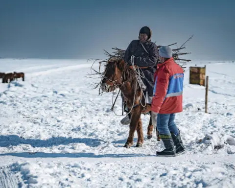 Heavy snows and drought of deadly 'dzud' kill more than 7 million head of livestock in Mongolia