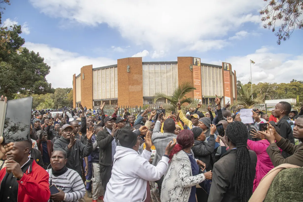 Zimbabwe Opposition Protest