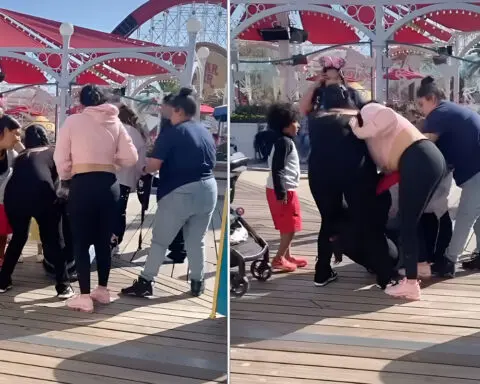 Viral video shows moms in a wild brawl at Disneyland