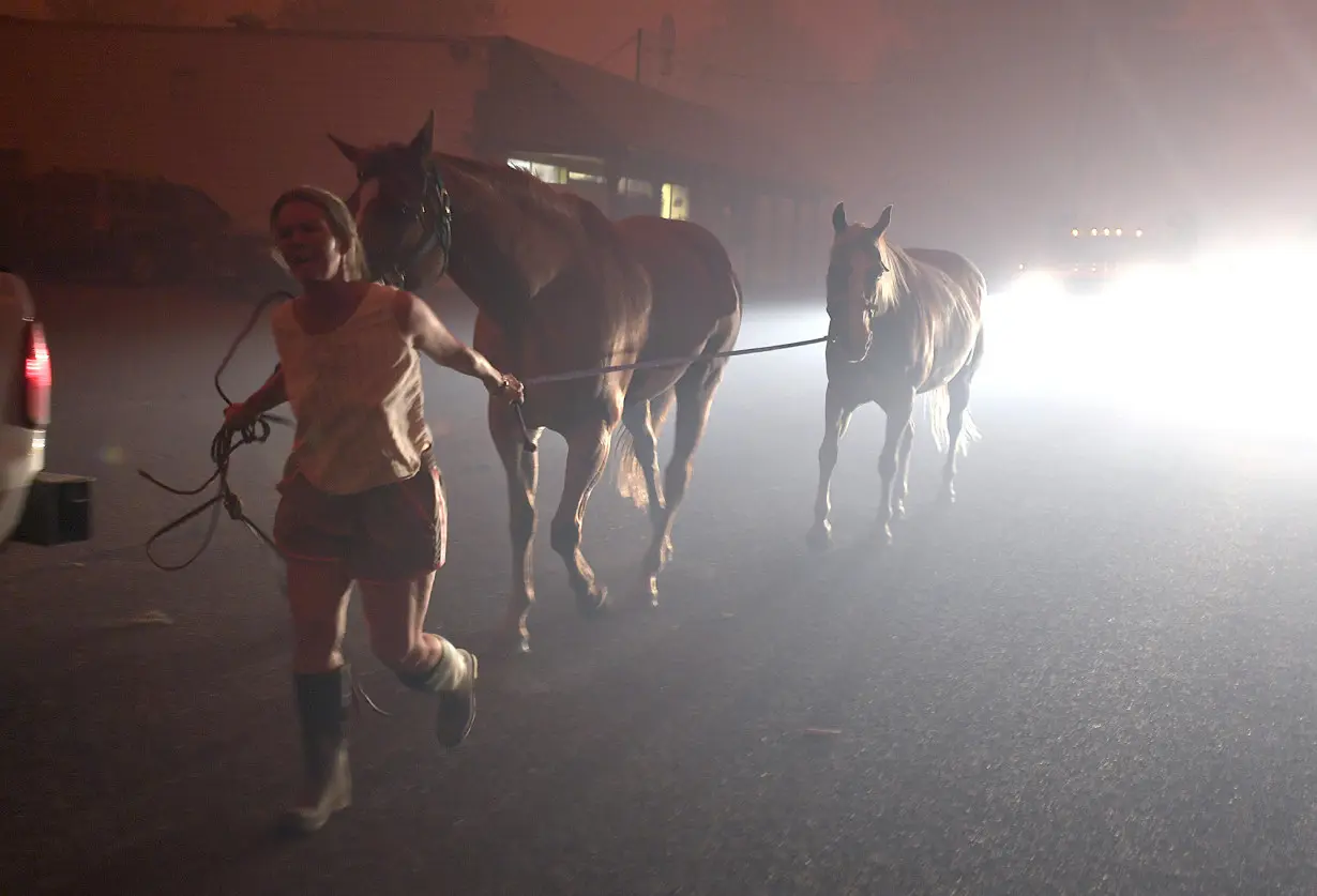 Oregon Wildfire Settlement