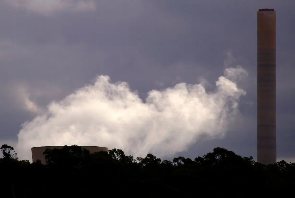 Chimneys from the coal-powered Mount Piper power station are be seen behind trees near the town of Lithgow, located west of Sydney in Australia