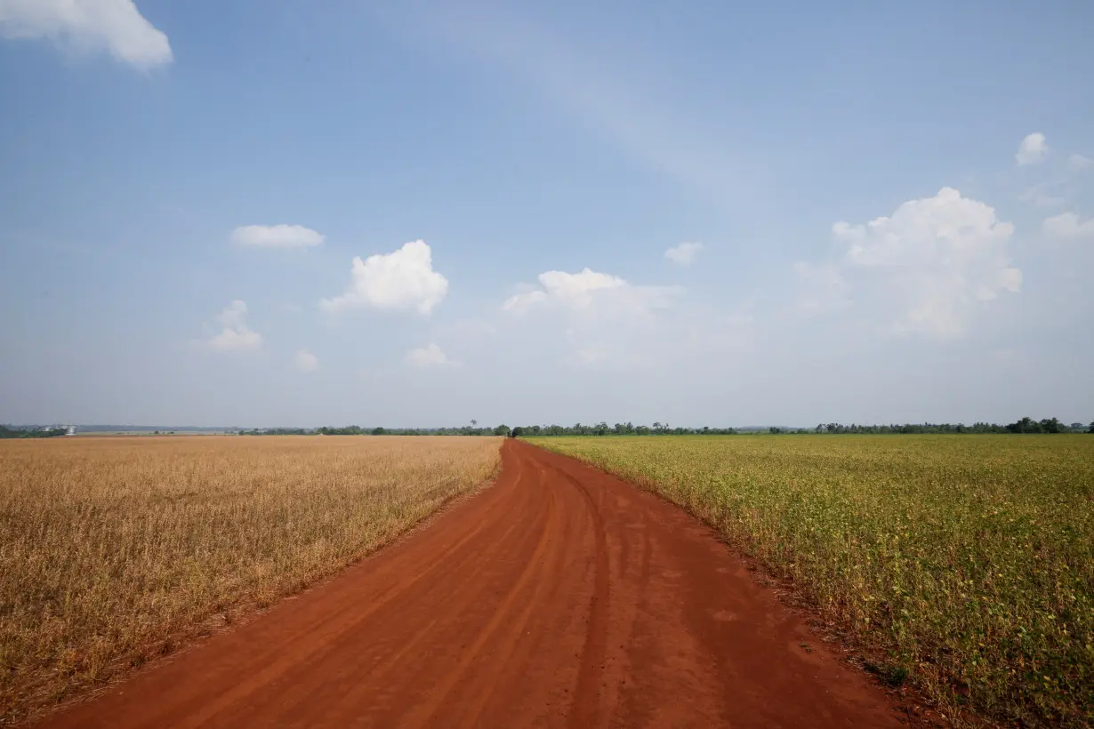 FILE PHOTO: A soybean field is seen in February 2022 in Minga Guazu, Paraguay