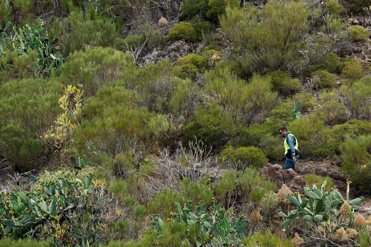 A police officer searches for a missing British youth in the Masca ravine