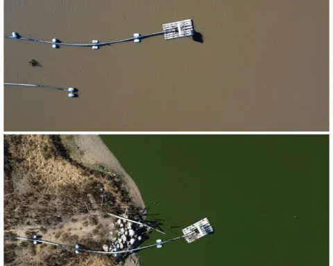 Drought-hit lakes in Chile come back to life after downpours