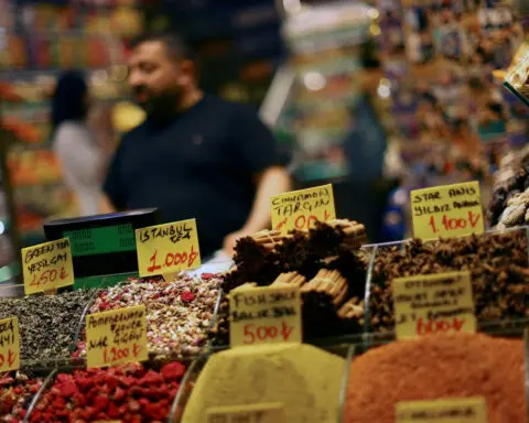 Turkey inflation hits 75% in expected peak before relief