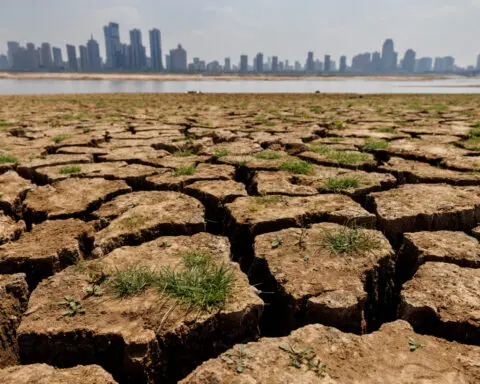 China allocates 443 million yuan to support drought prevention work