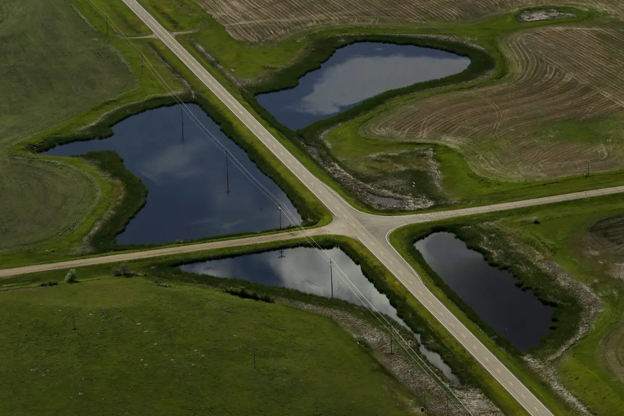 The US is losing wetlands at an accelerating rate − here’s how the private sector can help protect these valuable resources